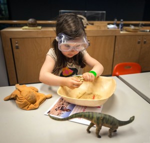 Veel te doen tijdens Museumnacht 2014 in Naturalis!