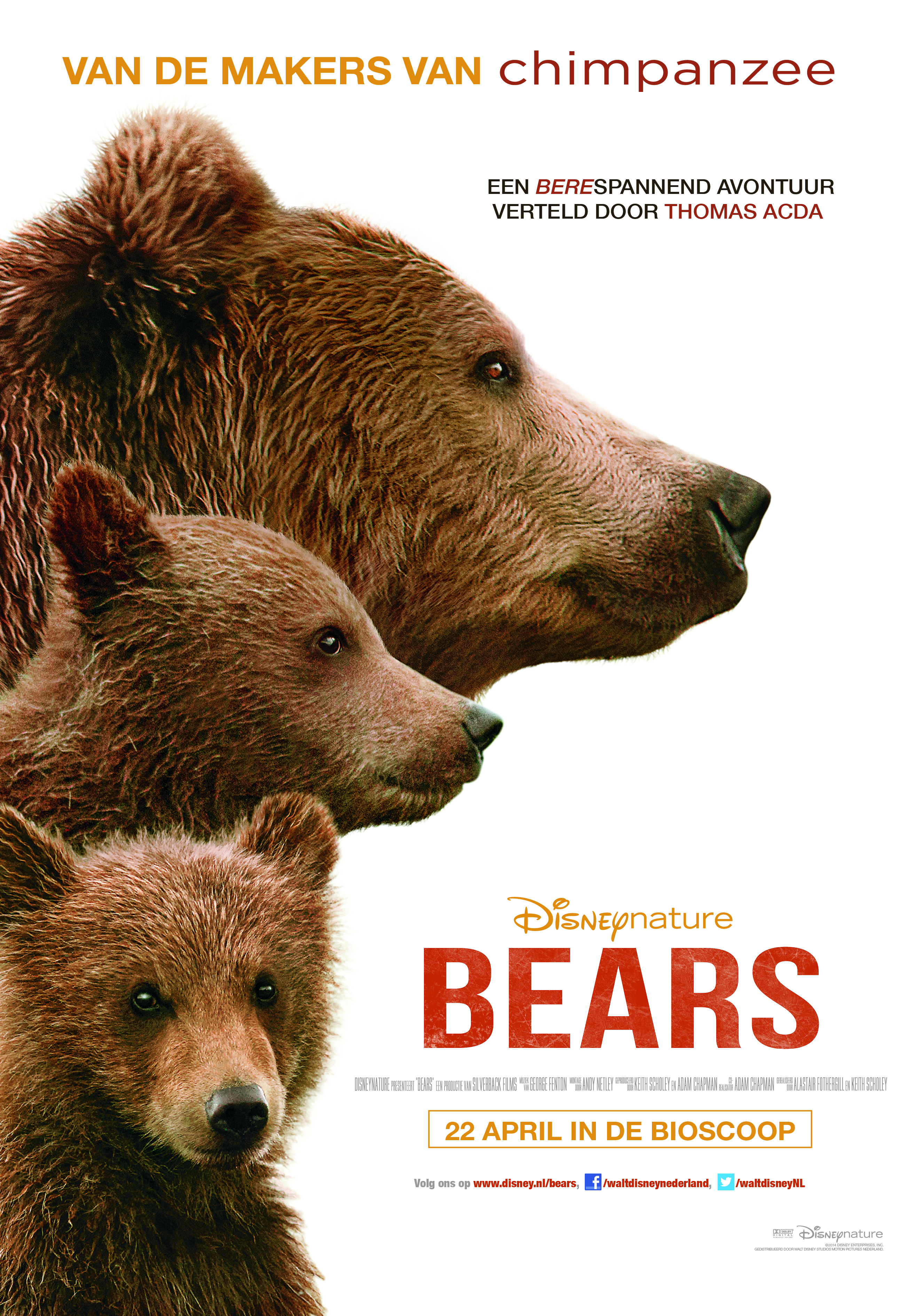 02022_STNL_Disney_Bears_Poster-700x1000mm_MaS_v7_HR