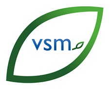 vsm