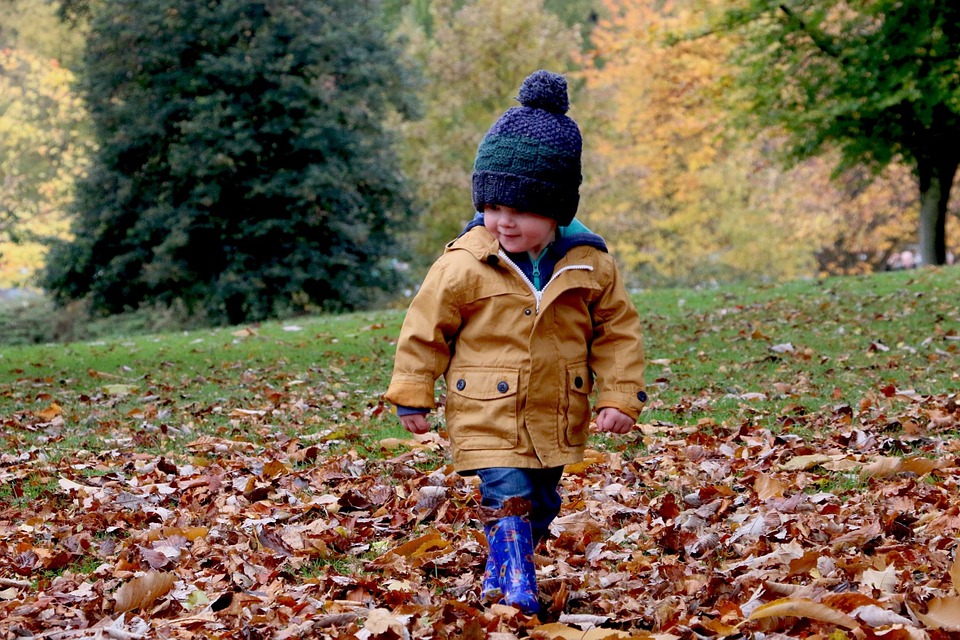 Onafhankelijk niet verwant maïs 6 leuke buitenactiviteiten voor in de herfst – KiDDoWz: voor kinderen en  hun (groot)ouders